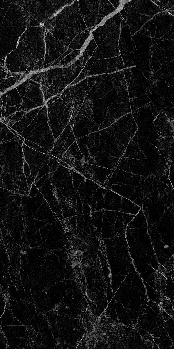 Черный Аист