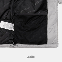 Пуховик мужской Dickies Waldenburg Jacket