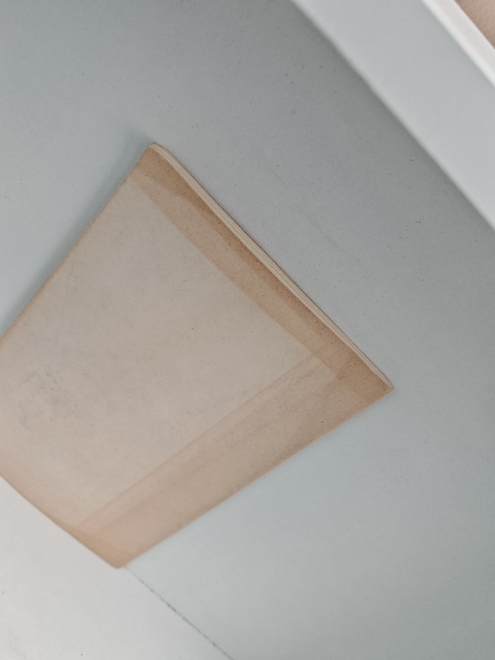 Заколдованная жизнь (рассказанная гусиным пером)