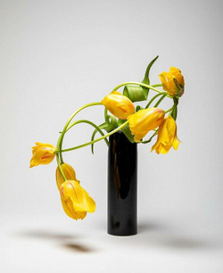 Inspiring Ikebana