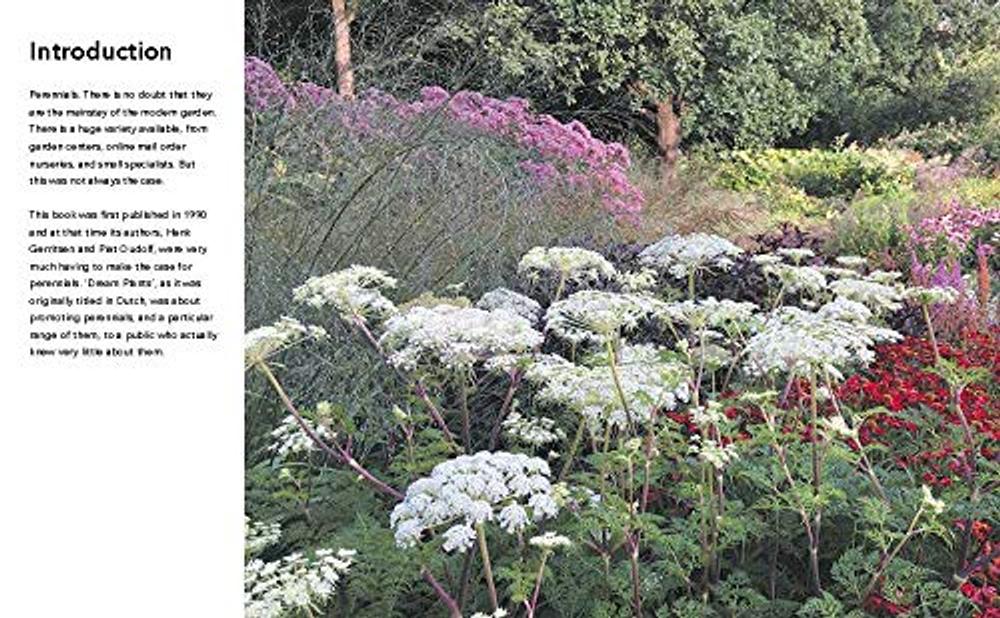Planting the Natural Garden by Piet Oudolf and Henk Gerritsen