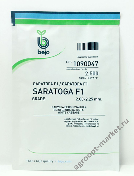 Саратога F1 семена капусты белокочанной – фото 2