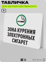Табличка для частной территории "Зона курения электронных сигарет", на дом, для участка, организаций и частных территорий, предупреждающая, 40х30 см, Silver Plane x Айдентика Технолоджи