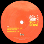 Sonic Youth / Sonic Nurse (2LP)