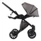 Коляска ANEX e/type 3 в 1 (et-03A) gothic