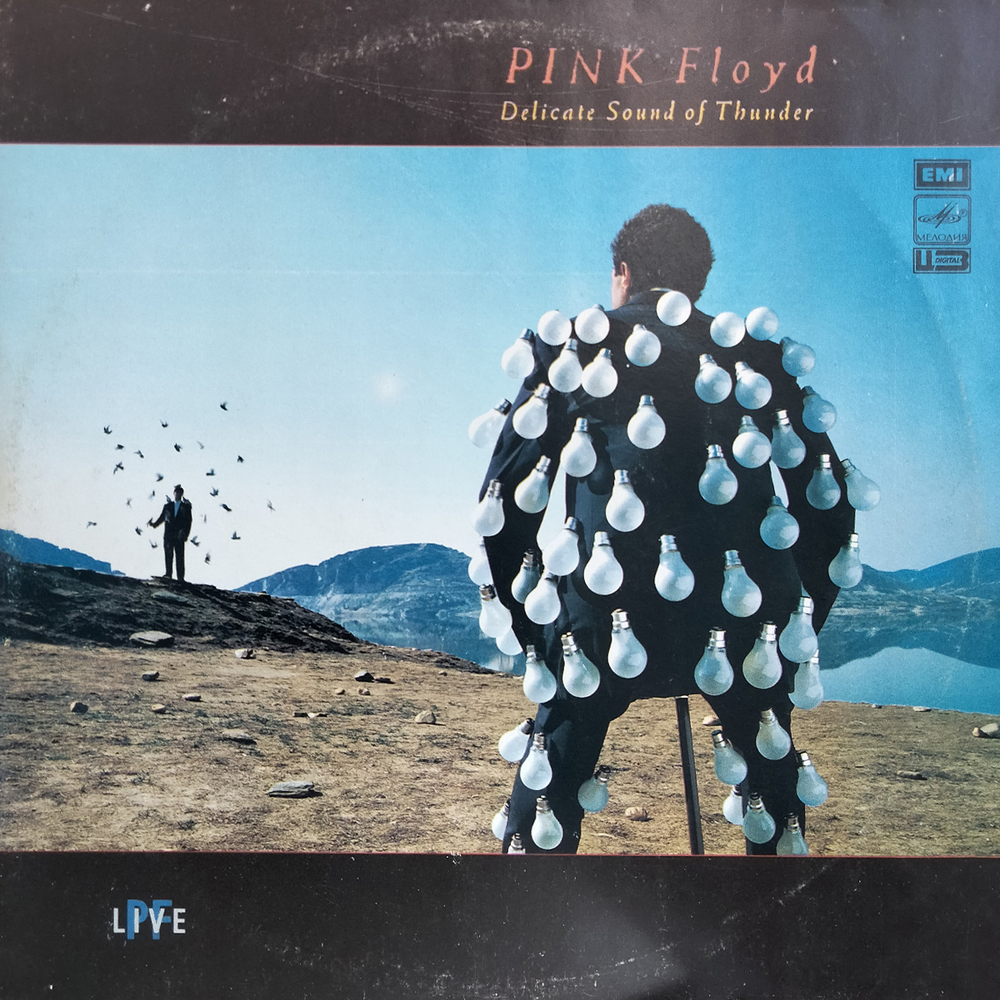 Pink Floyd / Delicate Sound Of Thunder (2LP)