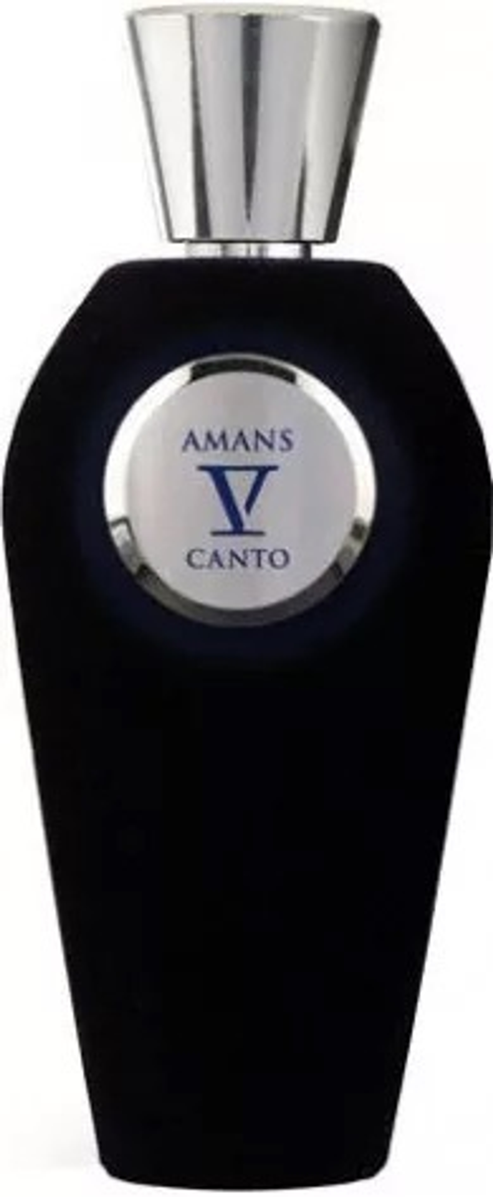 V Canto Amans