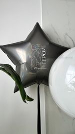 Воздушные шары №6266