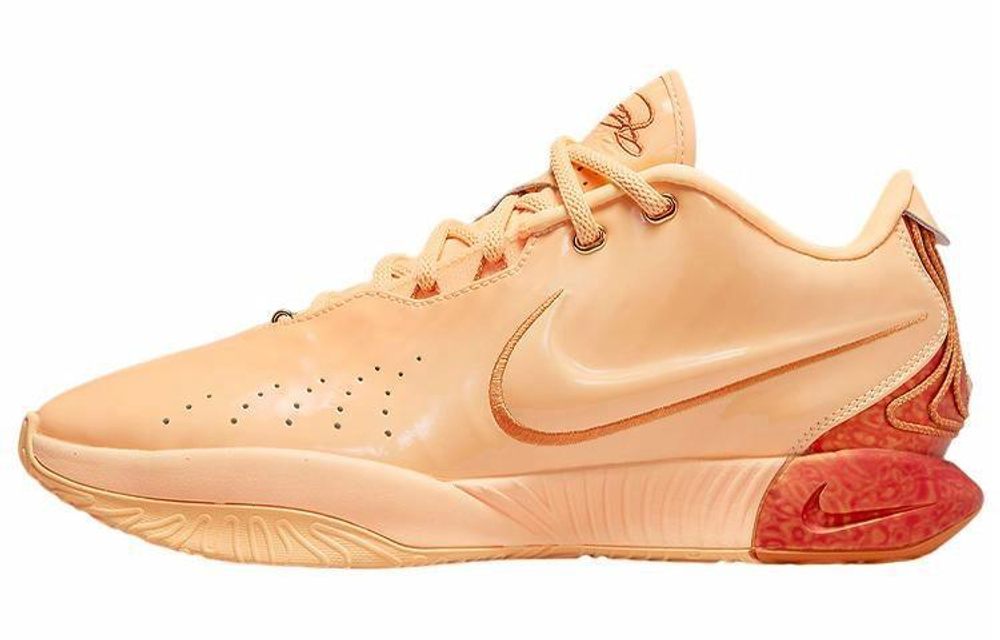 Кроссовки Nike Lebron 21