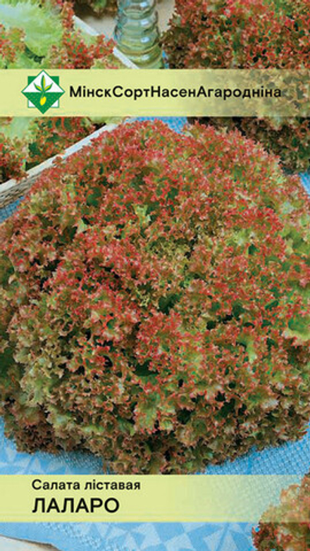 Салат листовой "Лоллоро" 0,8г, Германия.