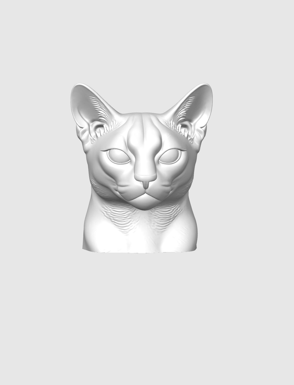 Абиссинская кошка