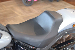 Low Rider S 114 (FXLRS), Softail Harley-Davidson 2020 Barracuda Silver