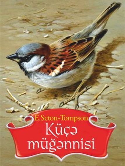 Küçə müğənnisi