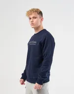 Толстовка We Don’t Care Basic Logo Sweatshirt Navy