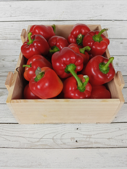 Перец Болгарский красный сладкий