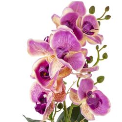 GAEM Цветочная композиция "Орхидея", L16 W16 H45 см