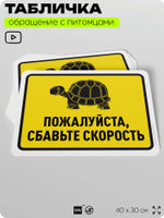 Табличка "Пожалуйста, сбавьте скорость" на дверь и забор, для двора, дома, подъезда, 40х30 см, Silver Plane x Айдентика Технолоджи