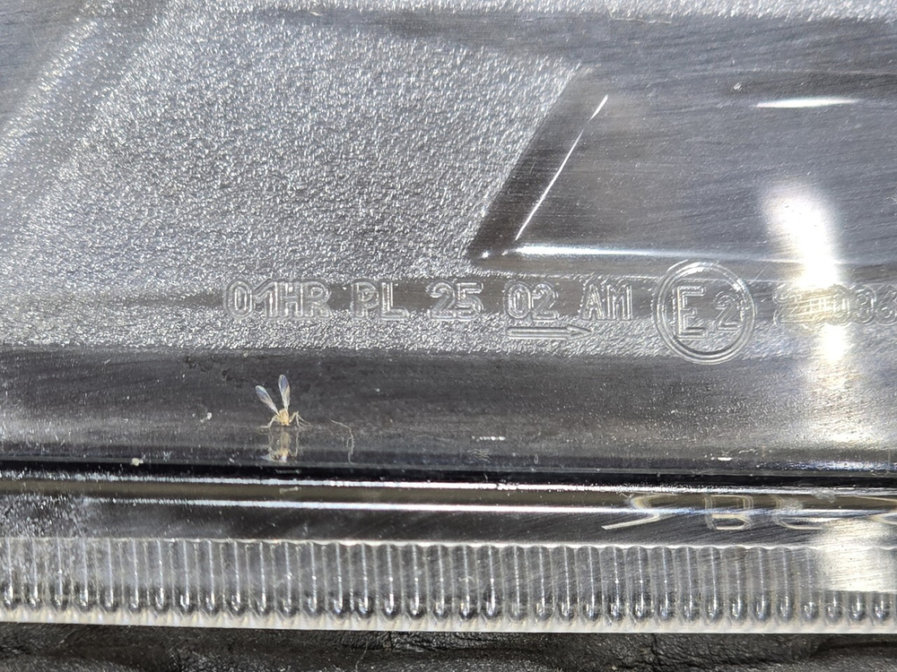 Фара противотуманная верхняя левая 2023г