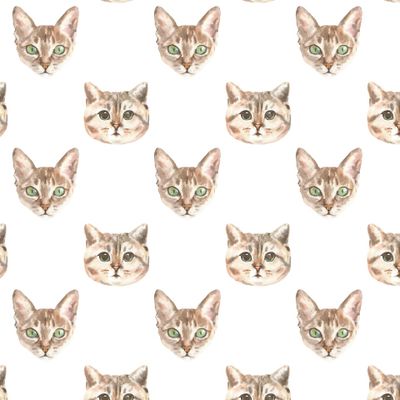 Коты акварельные, белый фон