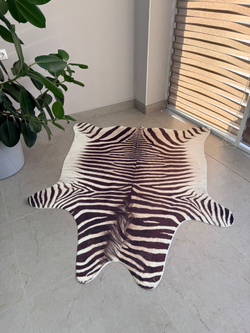 Шкура зебры с ворсом