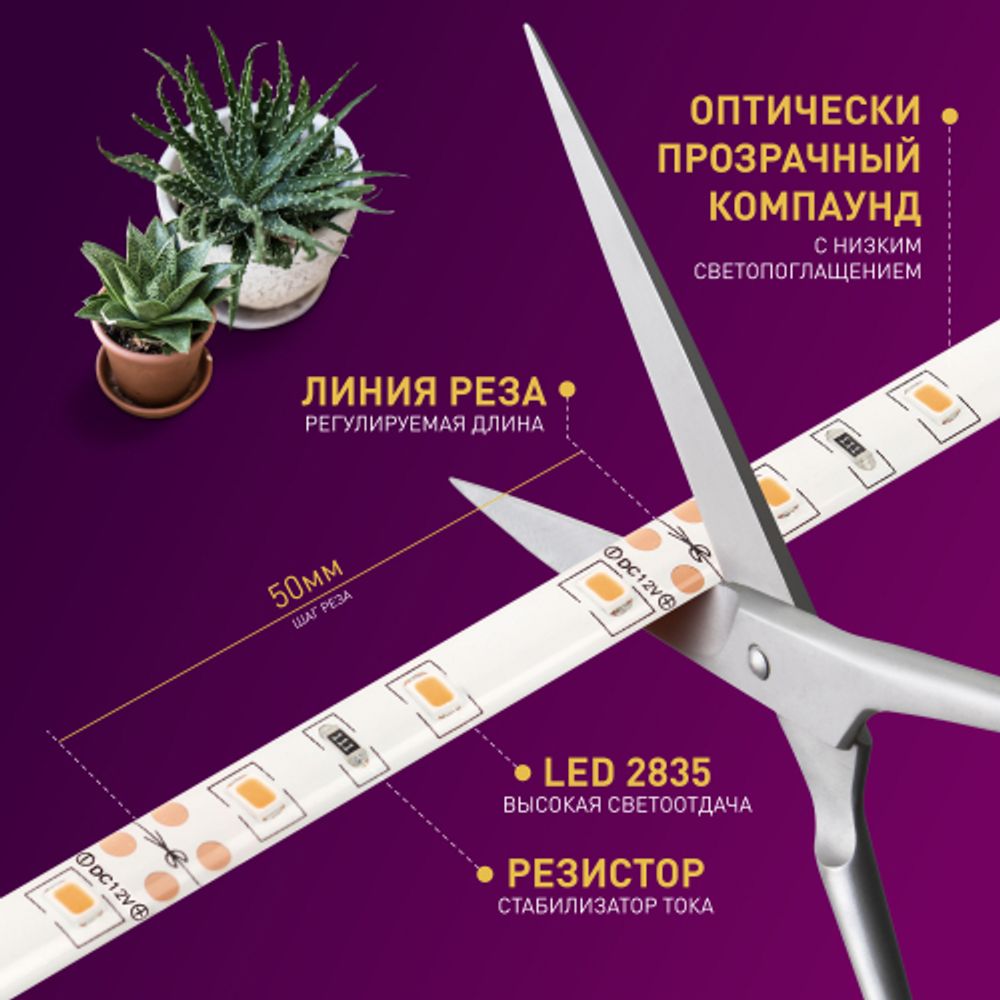 Светодиодная лента для растений ЭРА FITO-Strip Light-RB-2m красно-синего спектра, 2 м, IP65 с адаптером 12V в комплекте | 