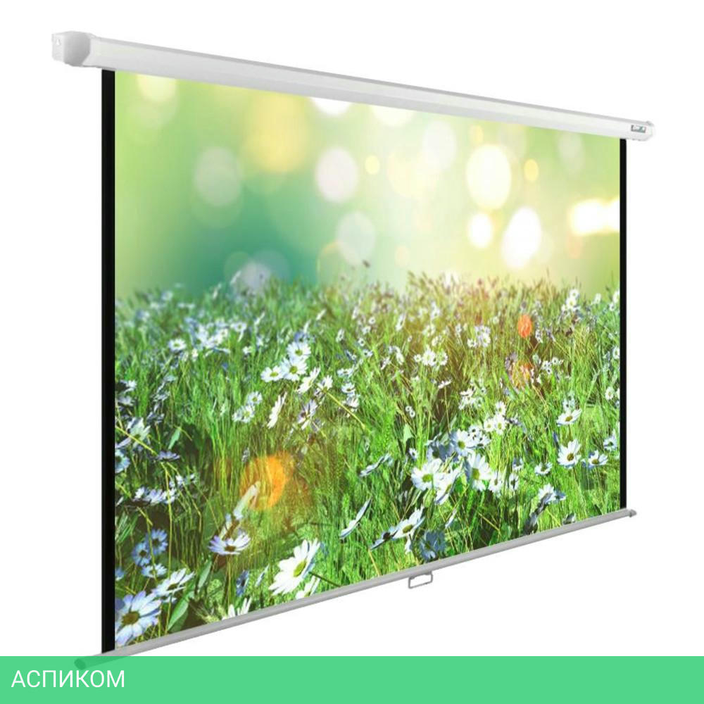 Проекционный экран Cactus WallExpert (CS-PSWE-200x200-WT)