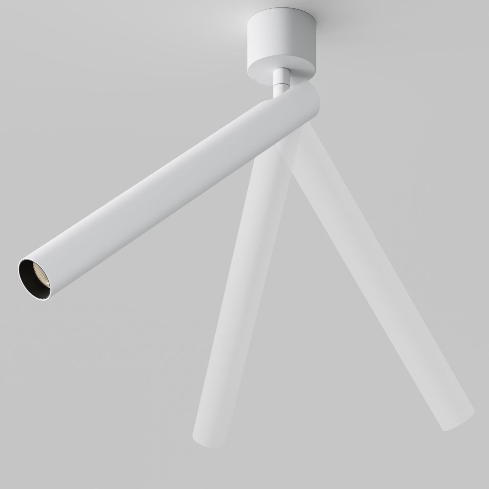 Потолочный светильник светодиодный Maytoni   C141CL-L300-6W3K-W