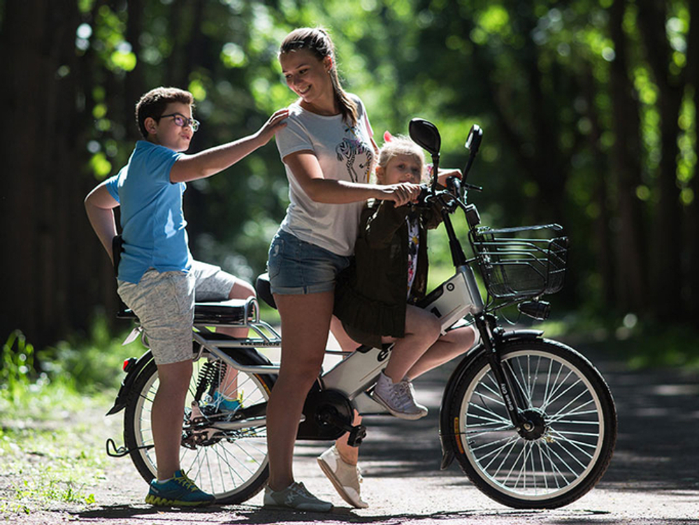 Электровелосипед Green City e-ALFA GL с термобоксом