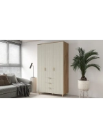 Шкаф распашной 120х50х210 с ящиками Birmingham 10