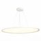 Подвесной светодиодный светильник ST Luce ST602.543.120