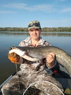 Оснастка для ловли сома на квок