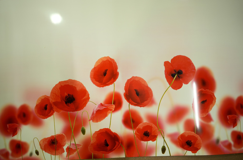 ПАНЕЛЬ ИНТЕРЬЕРНАЯ ПВХ (ФАРТУК) МАКИ 3000Х600Х1,3ММ