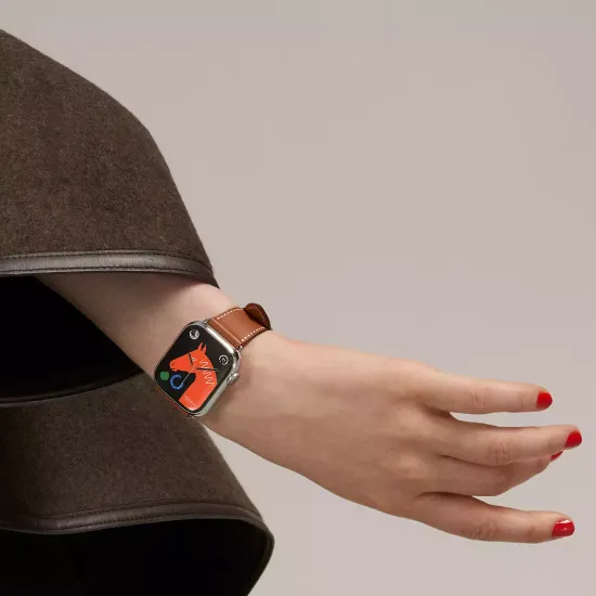 Apple Watch Hermès Series 9 41 mm Simple Tour