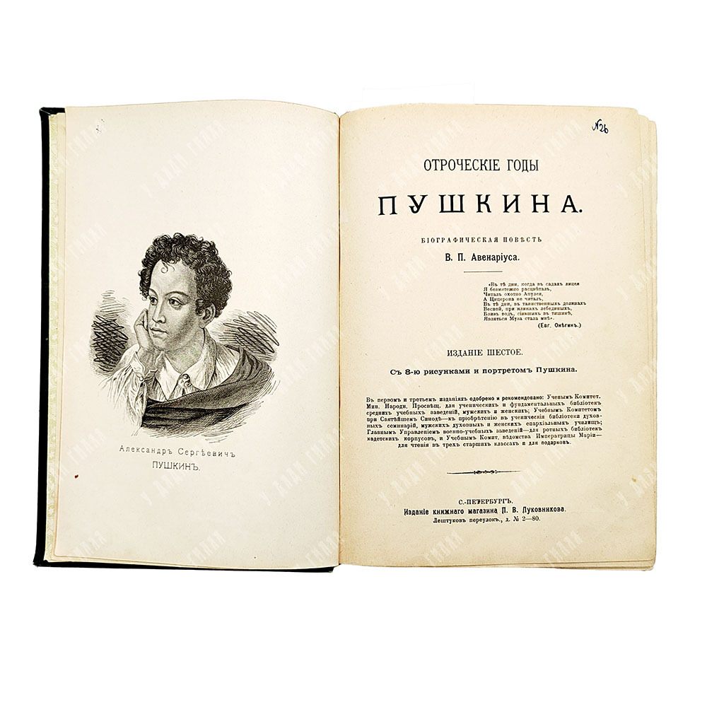 Авенариус В. П. Отроческие годы Пушкина: биографическая повесть. СПБ. Типография М. Меркушева, 1909