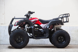 Квадроцикл UNIVERSAL Avenger JR 150