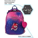 Ранец Berlingo Expert Akita boy 37х28х16см, 2 отд., с анатомической спинкой