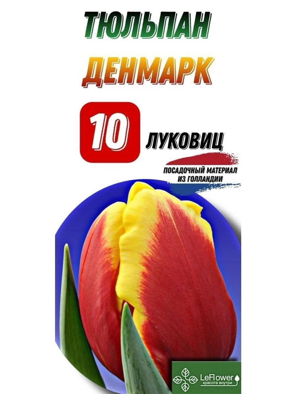 тюльпан денмарк10луковиц,Голландия