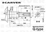 Двигатель бензиновый Carver EX210/6