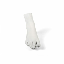 Статуэтка Memorabilia Mvsevm Female Foot 10070