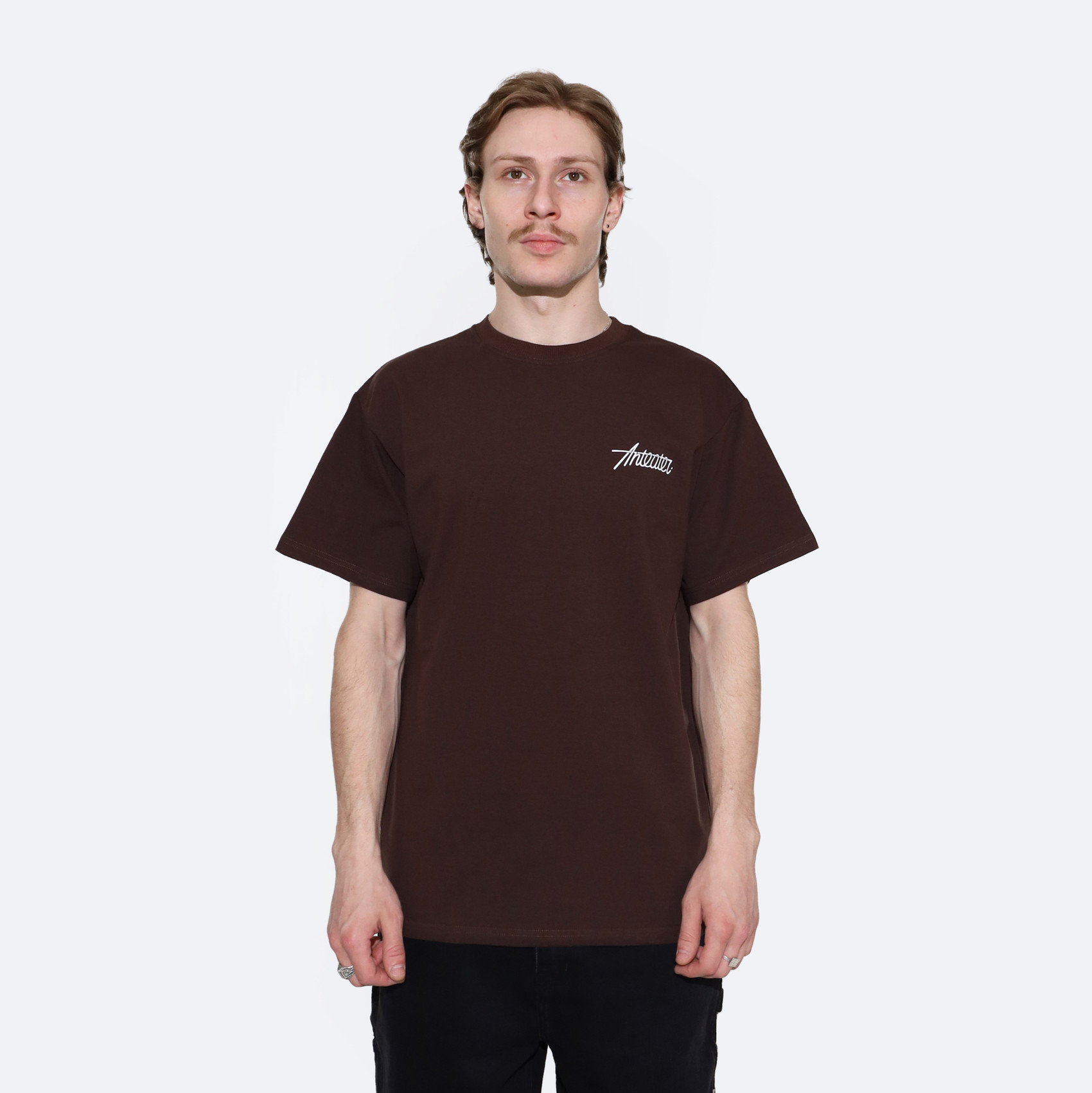 Футболка Anteater Phat Tee 479 (brown) артикул: - купить в магазине Дайс