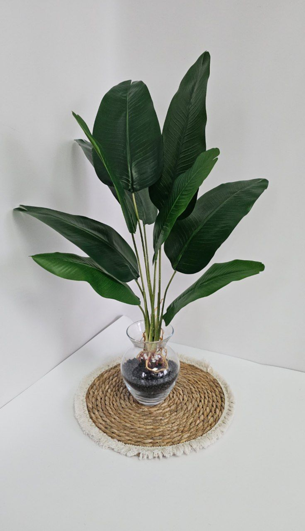 Куст банана с воздушными корнями / Арт 6355