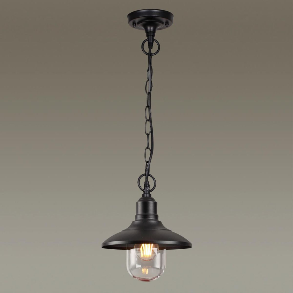 Уличный подвесной светильник Odeon Light 4965/1