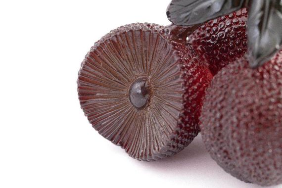 Figurka herbaciana zmieniająca kolor „Yamberi Voskovnitsa red”