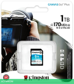 Карта памяти Kingston Canvas Go! Plus SDXC 1TB (SDG3/1TB)