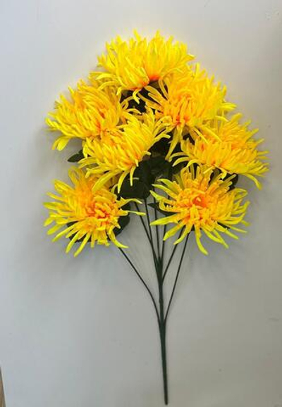 Хризантема игольчатая