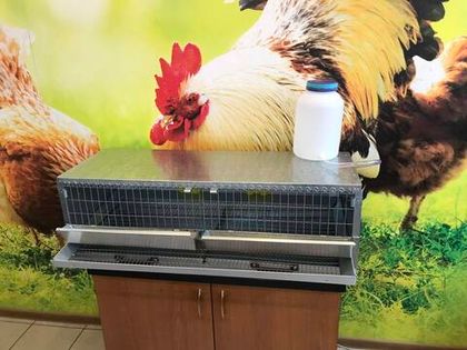 Клетка для перепелов до 30 голов, с кормушкой и поилкой