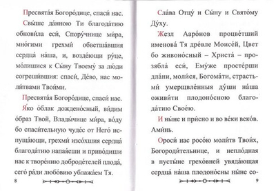 Канон Пресвятой Богородице чудотворныя ради Ея иконы "Споручница грешных"