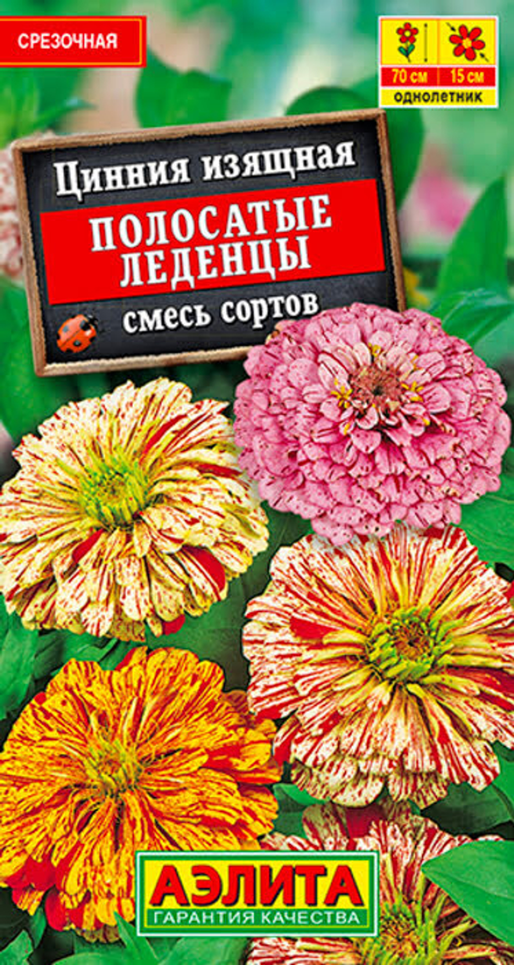 Цинния Полосатые леденцы 0.3г