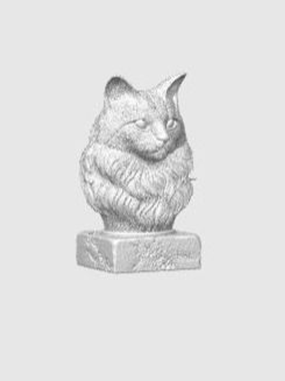 Кошка Мейн-Кун