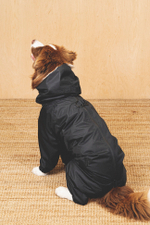 Комбинезон "Пони-комбинезони" черный